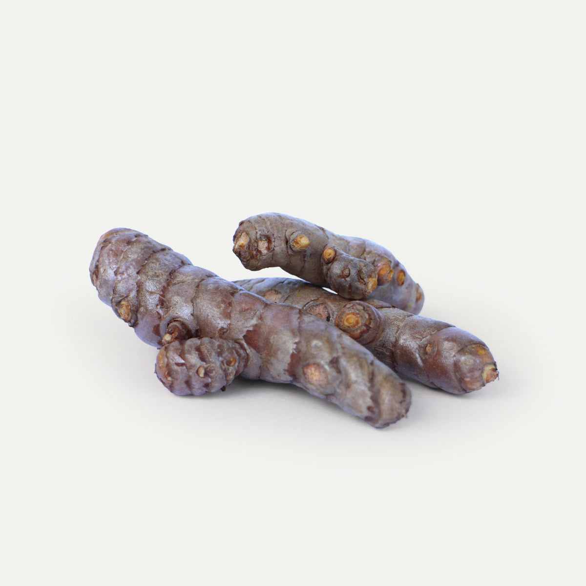 ekologiškos ciberžolės šaknys