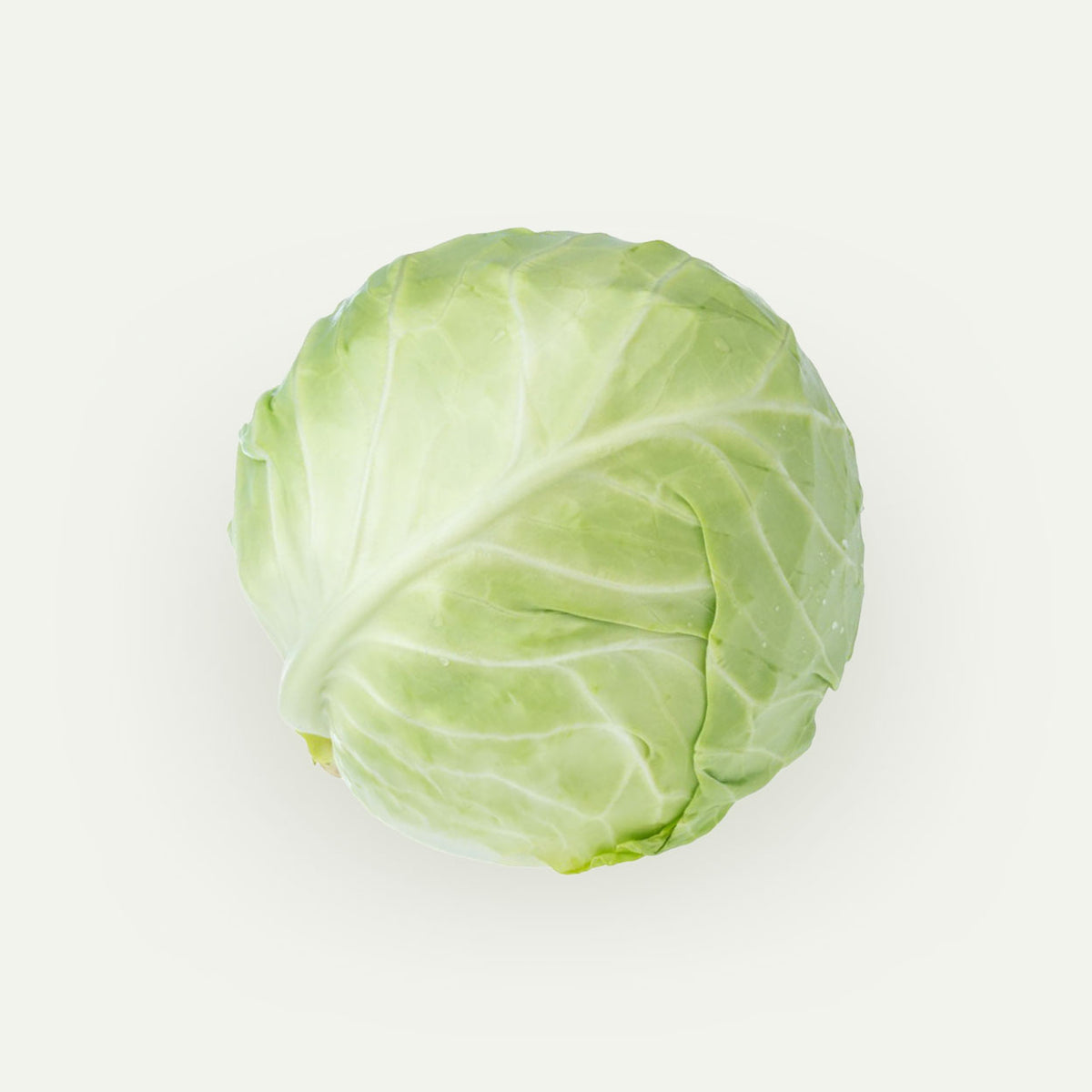 Ekologiškas baltas kopūstas