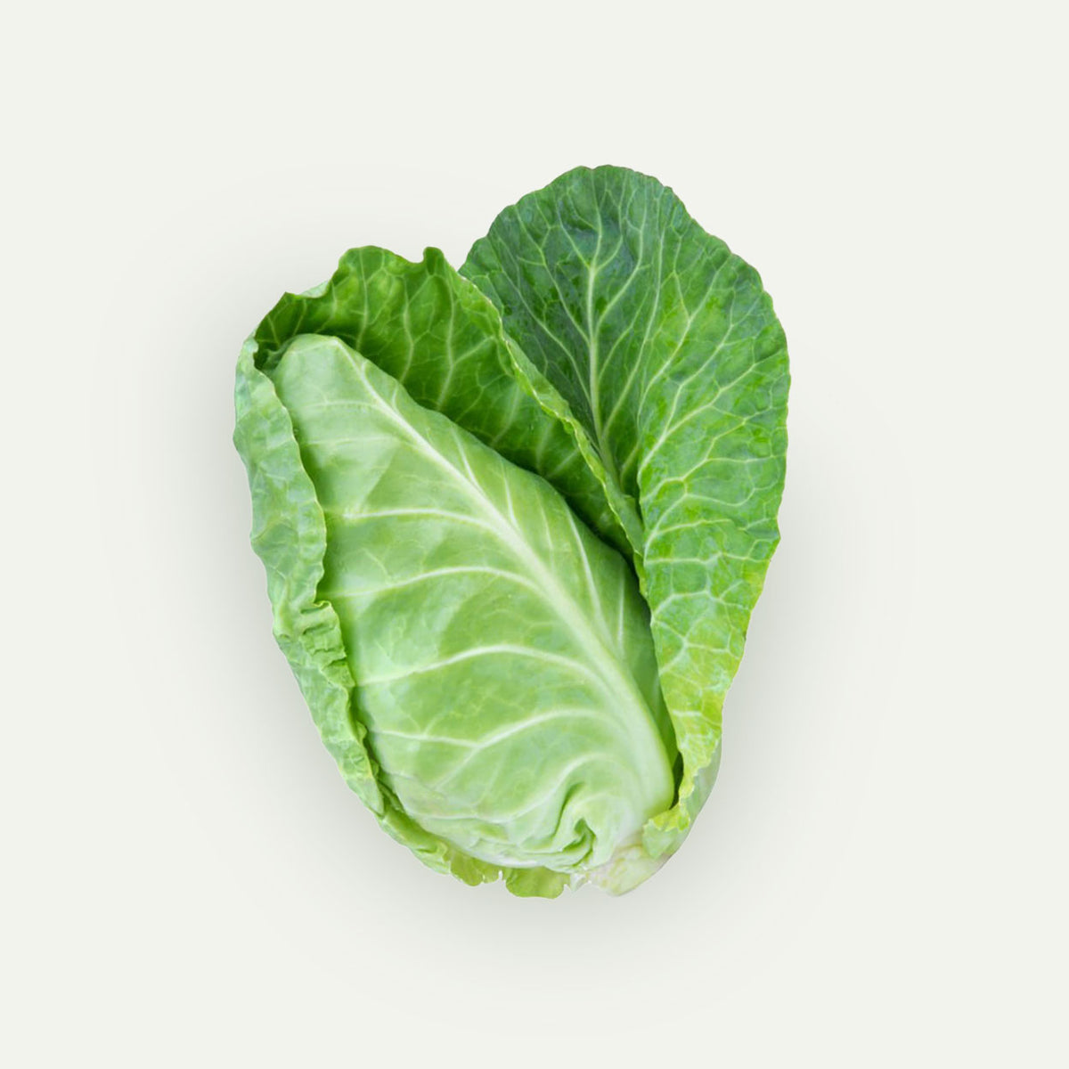 Ekologiškas pailgas kopūstas
