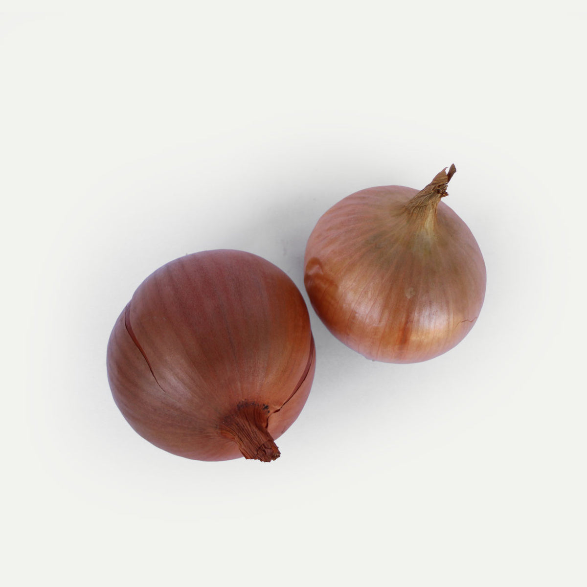 ekologiškos svogūnų galvos