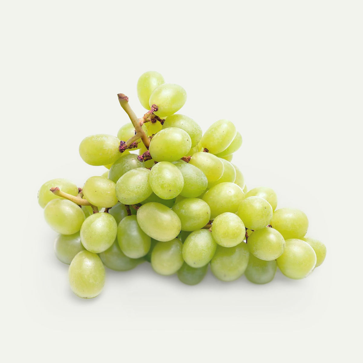 Ekologiškų žaliųjų vynuogių kekė
